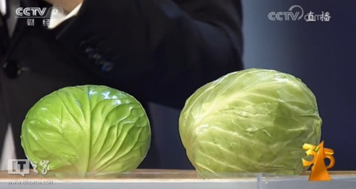 央視315曝光：季節(jié)謠？是否可信？ 