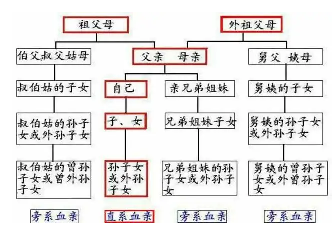 直系親屬包括哪些,血親直系三代親屬關系圖