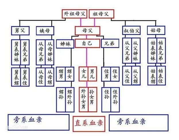 直系親屬包括哪些,血親直系三代親屬關系圖