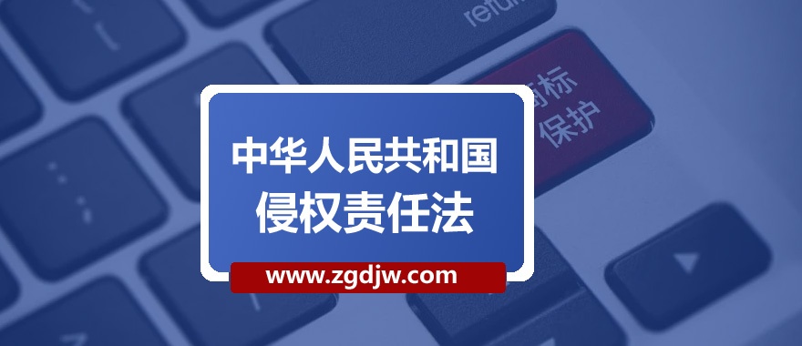 中華人民共和國侵權(quán)責(zé)任法 