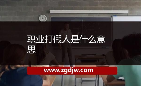 職業(yè)打假人是什么意思 