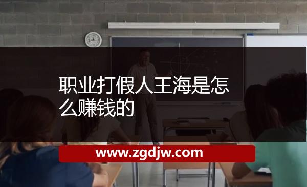 職業(yè)打假人王海是怎么賺錢的 
