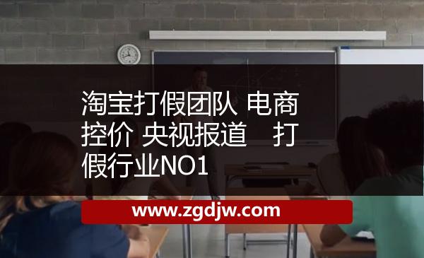 淘寶打假團(tuán)隊(duì) 電商控價(jià) 央視報(bào)道　打假行業(yè)NO1 