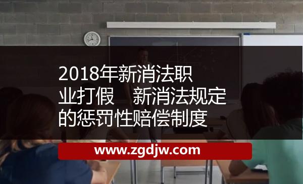 2018年新消法職業(yè)打假 新消法規(guī)定的懲罰性賠償制度