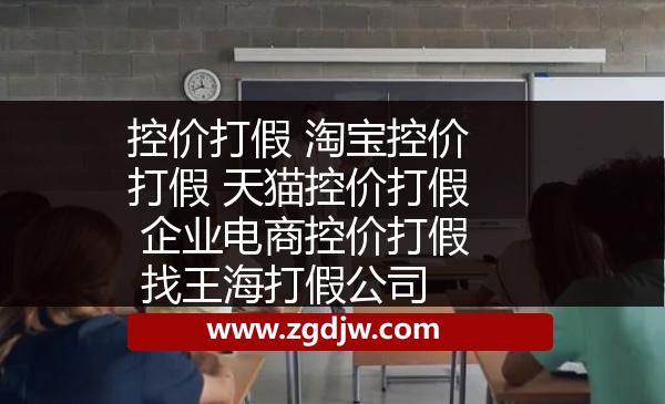 控價(jià)打假 淘寶控價(jià)打假 天貓控價(jià)打假 企業(yè)電商控價(jià)打假 找王海打假公司 