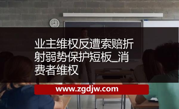 業(yè)主維權(quán)反遭索賠折射弱勢保護(hù)短板_消費(fèi)者維權(quán) 