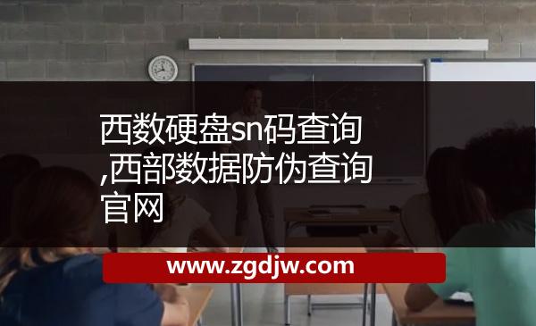 西數硬盤sn碼查詢,西部數據防偽查詢官網 