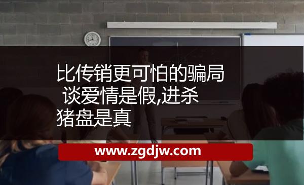 比傳銷更可怕的騙局 談愛情是假,進殺豬盤是真 