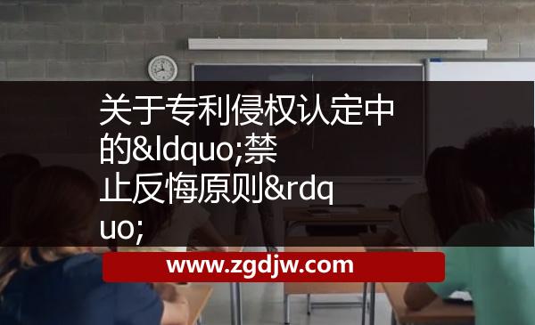 關(guān)于專利侵權(quán)認(rèn)定中的“禁止反悔原則” 