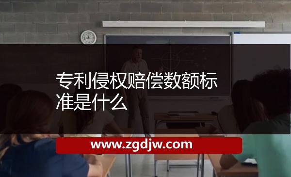 專利侵權(quán)賠償數(shù)額標(biāo)準(zhǔn)是什么 