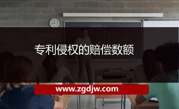 專利侵權(quán)的賠償數(shù)額 