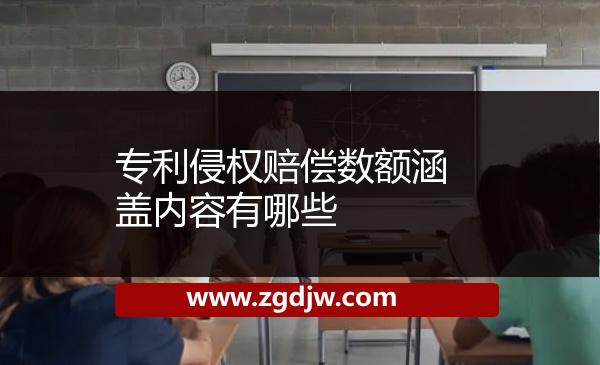 專利侵權(quán)賠償數(shù)額涵蓋內(nèi)容有哪些 